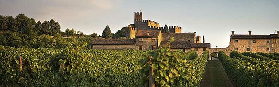 Venetien Weinlandschaft