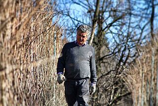 Weinberge von Trediberri