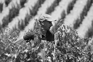 Bodegas Artadi Artazu – Navarra