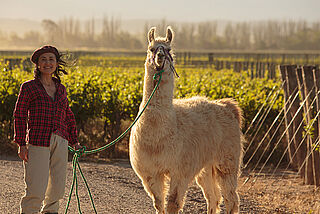 Laura Catena mit Lama