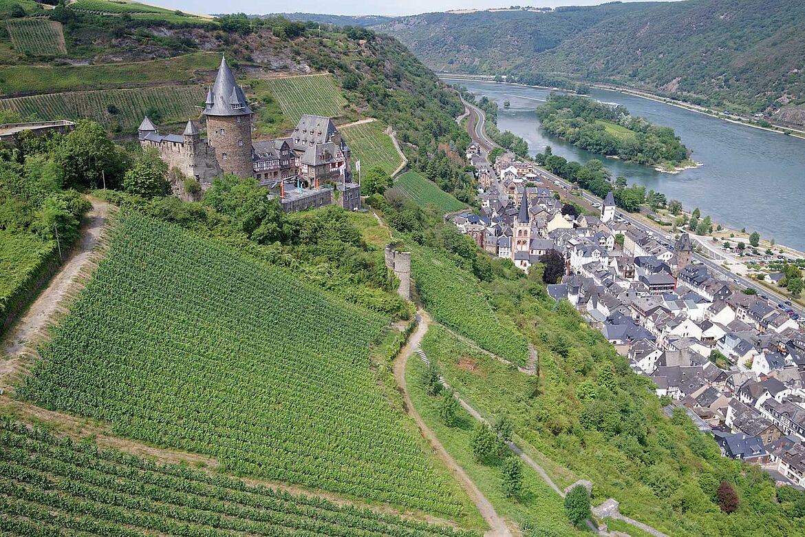 Weingut Dr. Kauer - Lobenbergs Gute Weine