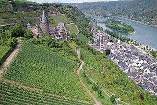 Weinberg von Dr. Kauer Weinberge von Dr. Kauer am Mittelrhein