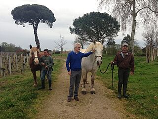 Olivier Decelle – Chateau Jean Faure