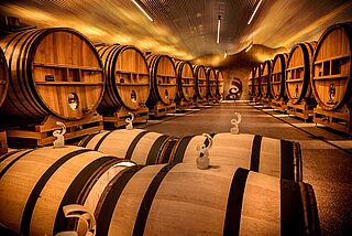 Fasslager im Weinkeller von Billecart Salmon