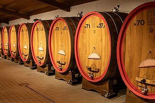 Venica Venica vinkælder