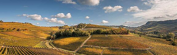 Piemontes vinmark