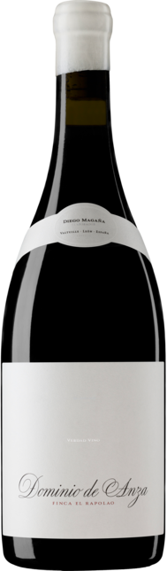 Finca el Rapolao 2019