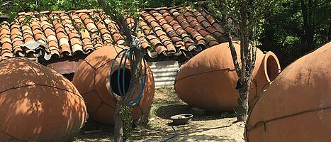 Natur, Amphore, Orange – neuer Wein in alten Schläuchen?