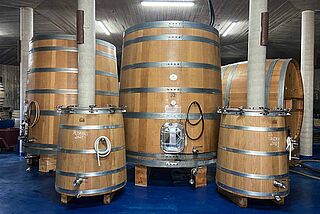 Vinkælder på vingården Bodega Cerron med vintønder