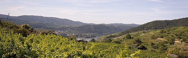 Kremstal