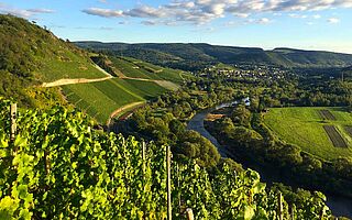 Weinberge und Weinfelder des Weinguts van Volxem