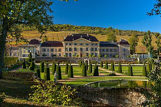 Burgund 2023