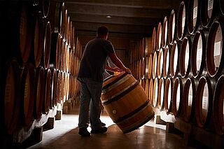 Weinkeller von Domaine Faiveley