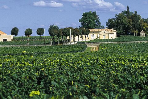 Chateau Trotte Vieille