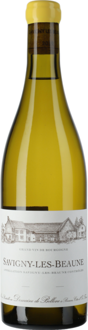 Savigny Les Beaune Village Blanc 2021