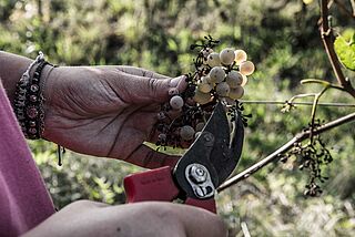 Handarbeit bei I Clivil