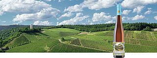 Wein präsentiert vor einer Landschaft