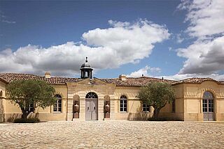 Vingård i Pomerol Vingård i Pomerol