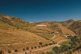 Quinta Vale Dona Maria Weingut