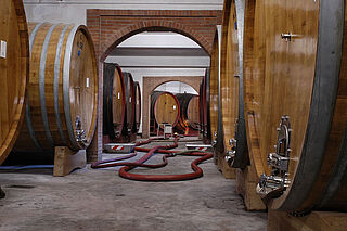 Kantinens kælder Kantinens kælder