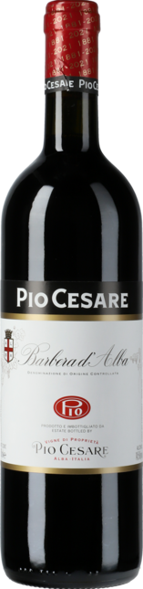Barbera d'Alba 2021