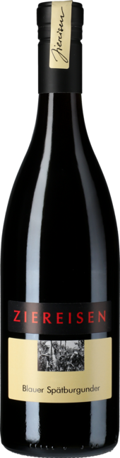 Blauer Spätburgunder 2018