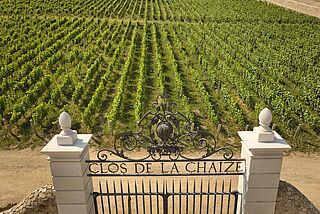 Weinberge Chateau de la Chaize