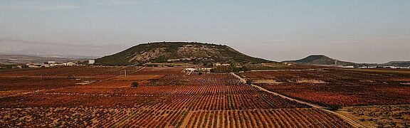 Navarra