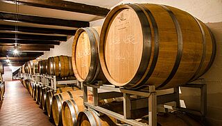 Weinkeller-Weinfaesser