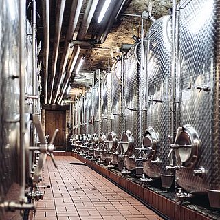 Sandra Fehr / Heroes of Riesling Weintanks im Keller von Wegeler