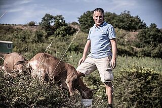 Vinbonde med sine geder på Wagner Stempel-vinmarken