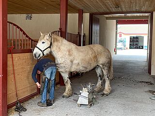 Pontet Canet Pontet Canet