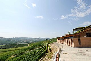 Vingård og vinmarker