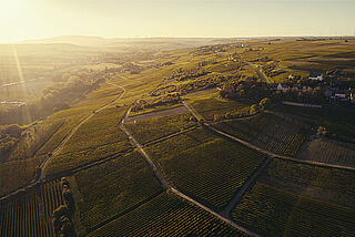 Das Weingut von oben
