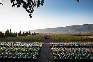 Weingut von Mas Amiel