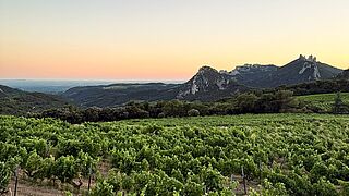 Dentelles de Montmirail