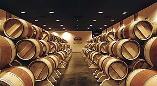 Weinkeller, Weinfässer Meyney