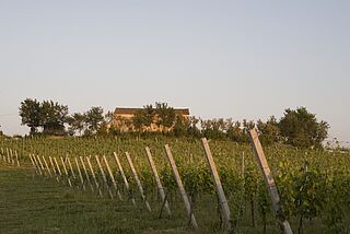 Villa Bucci und Umgebung