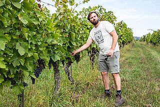 Franz Weninger Franz Weninger