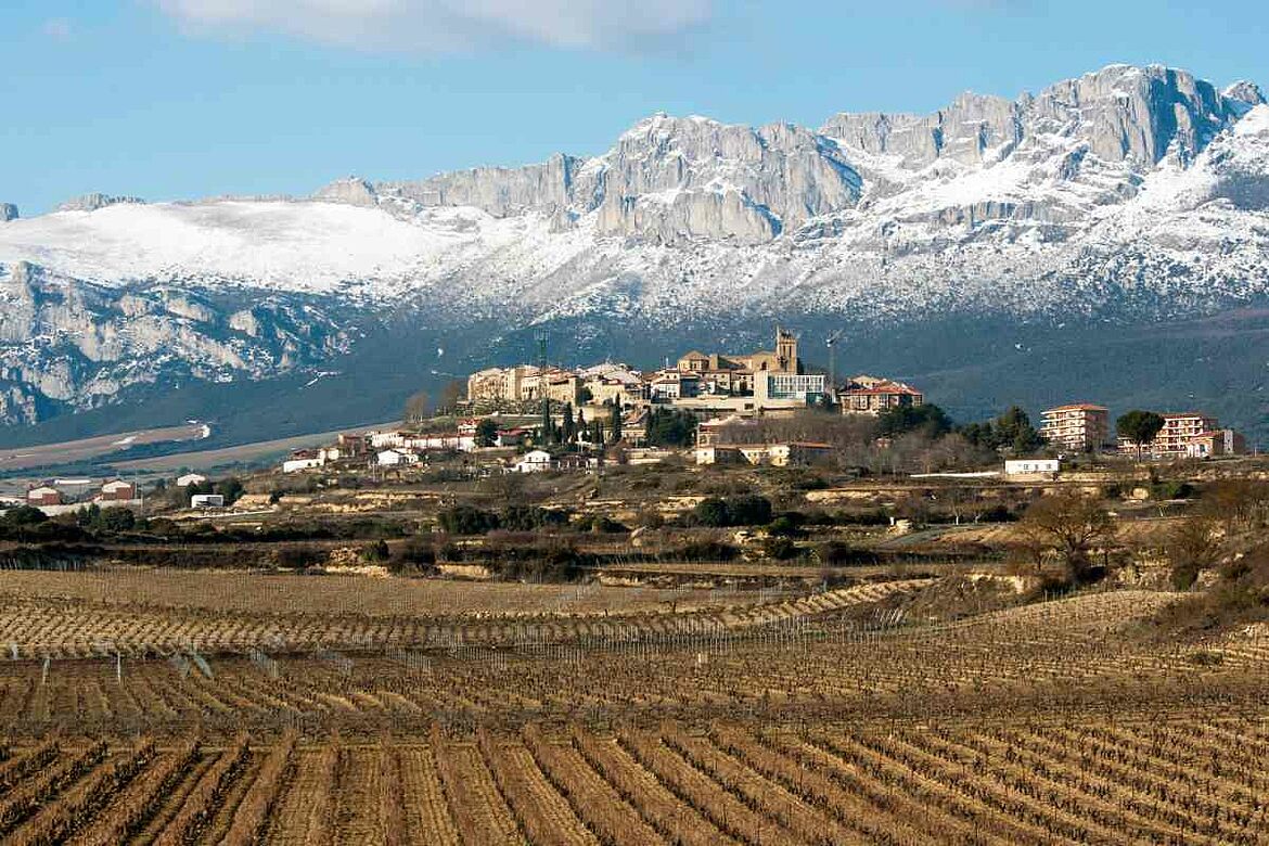Bodegas Artadi – Txakoli