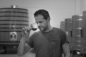 Bodegas y Vinedos Ponce