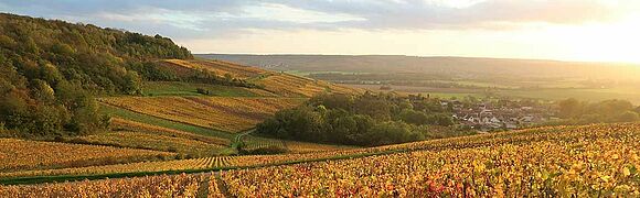 Vallée de la Marne