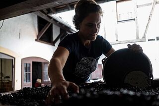 Arbeit am Wein bei Koehler Ruprecht Arbeit am Wein bei Koehler Ruprecht