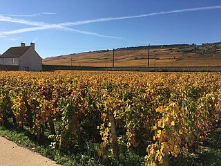 Domaine D Eugenie Weinfeld