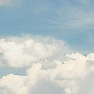 Leichter und frischer Wein