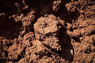 Erde des Weinguts Terroir al Limit Erde des Weinguts Terroir al Limit