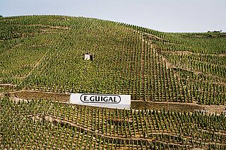 Weinfeld und Weinberge Guigal Weinfeld und Weinberge Guigal