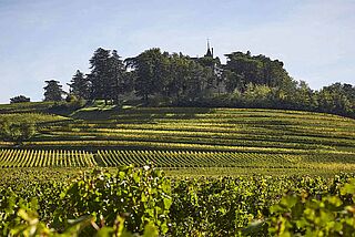 Chateau de Pressac Saint Emilion