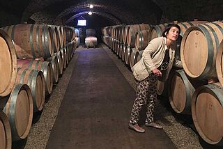 Weinkeller Tollot Beaut