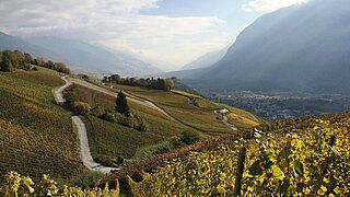 Histoire d’Enfer Weinberge, Weinlandschaft Wallis
